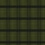 The Plaid One